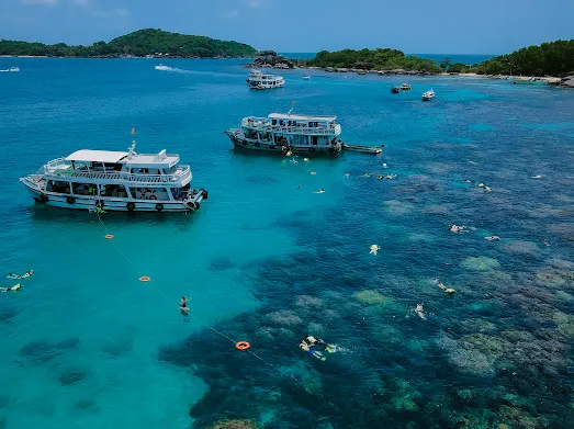 Day Tour I Coral Fishing Experience at South Island I Phu Quoc